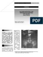 Oclusión intestinal.pdf
