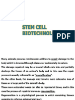 1. Introduction to Stem Cell Biology, Classification of Stem Cells and Their Sources, Similarities and Differences Between Embryonic and Adult Stem Cells
