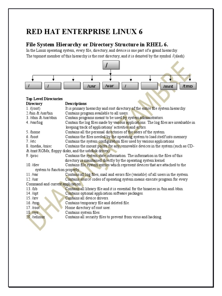 Red Hat Enterprise Linux 6: File System Hierarchy or Directory ...