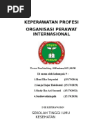 Download ORGANISASI PERAWAT INTERNASIONAL by sitinurfatimah SN341830495 doc pdf