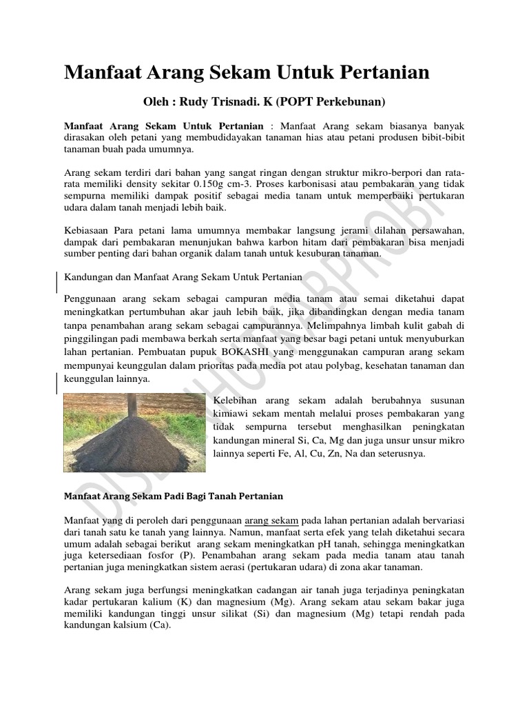 Arang Sekam Web 2016 Pdf