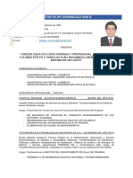 Curriculum Dominguez Malo Victor Felipe