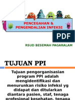 Presentasi Ppi