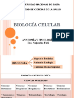 2 - Biologia Celular