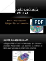 AULA 1 - Introdução a Biologia Celular