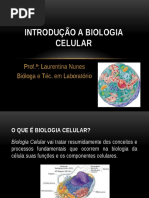 AULA 1 - Introdução a Biologia Celular