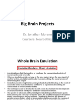 Big Brain Projects