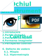 Ochiul Instrument Optic
