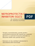 Nefroprotectia Cu Inhibitori de SGLT2