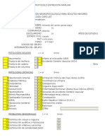 Protocolo Neuropsicológico Definitivo 2015 Ust