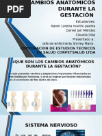Cambios Anatómicos Durante La Gestación TRABAJO