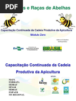 Especies e Raças de Abelhas