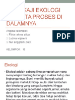 Mengkaji Ekologi Beserta Proses Di Dalamnya