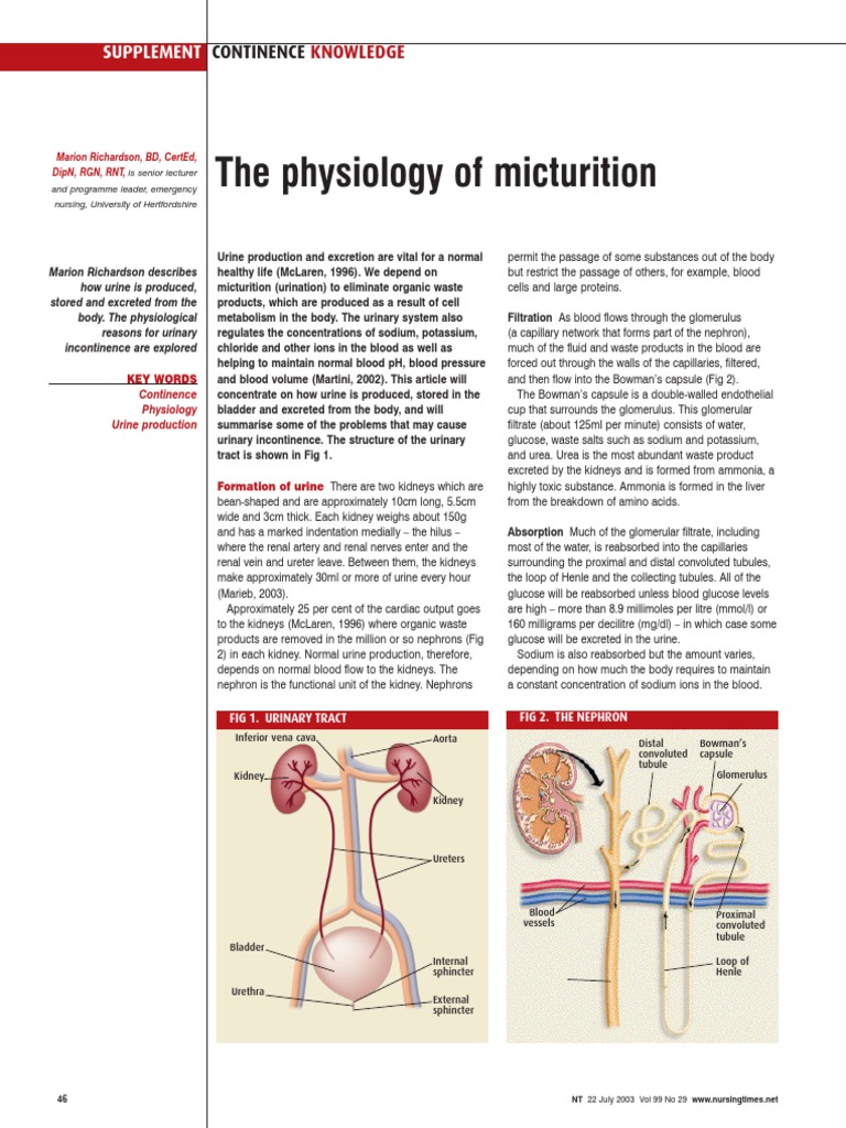 Physiology of Micturition Explained | PDF | Urination | Urinary Bladder
