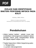 Download Isolasi Dan Identifikasi Bakteri Penyebab Infeksi Pada Kulit by Herlina Dwinanto SN341928670 doc pdf