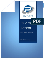 Quarter 2: PKP Corporation Quarter 2 Report