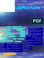 STRUKTUR DNA