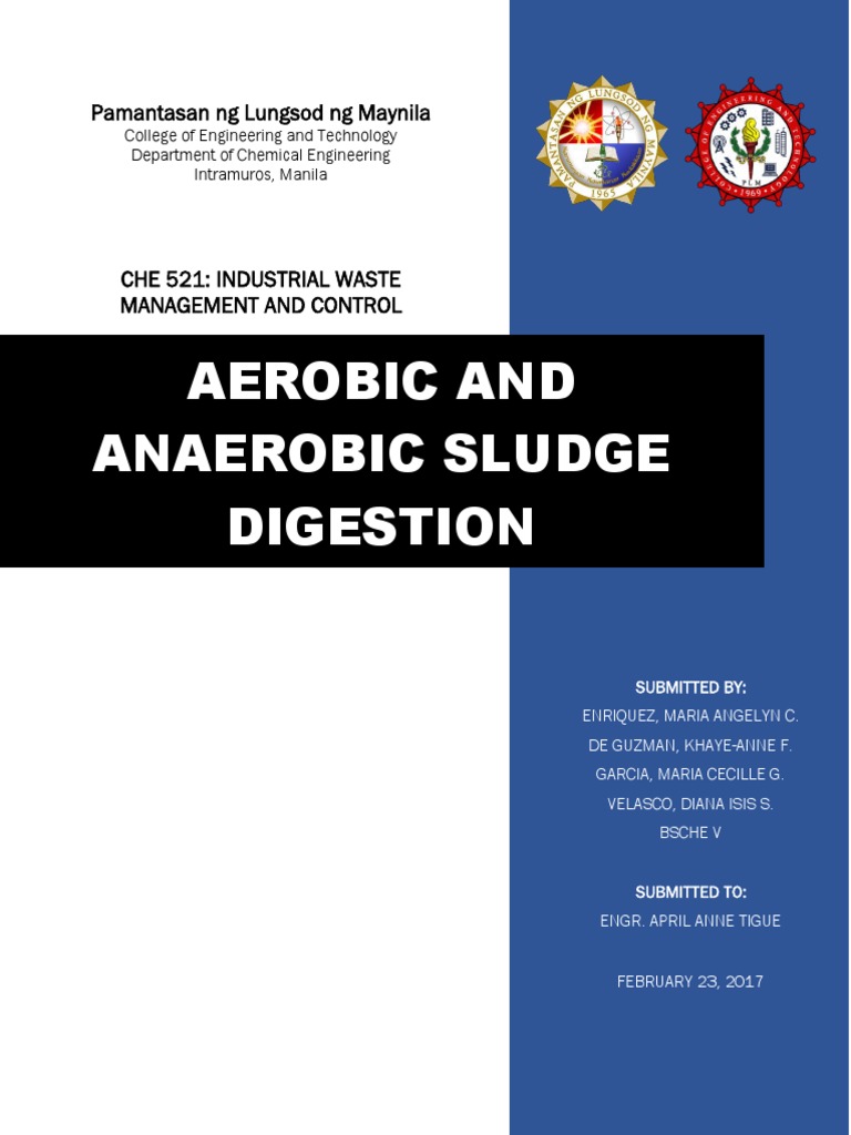 Aerobic and Anaerobic Sludge Digestion | PDF | Sewage Treatment ...