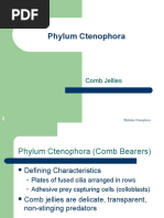 Phylum Ctenophora