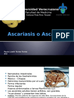 Ascariasis: Nematodo intestinal Ascaris lumbricoides