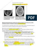 LP  FMAM_ IDC_GG ingrijirea pac cu  AVC.pdf