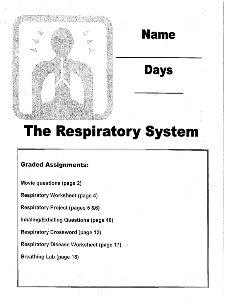 Respiratory System Packet 14
