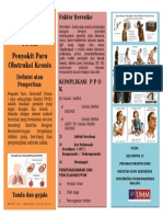 Leaflet Penyuluhan Ppok Profesi Ners Umm