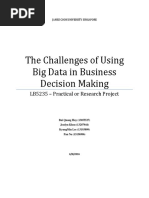 The Challenges of Using Big Data in Business Decision Making