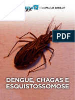 Dengue,+Chagas+e+Esquistossomose, (Jubilut)