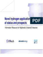 Novel hydrogen applications – renewable raw gas supply, cooking and marine