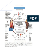 Ckd