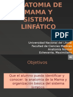 Anatomia de Mama y Sistema Linfático Maxi