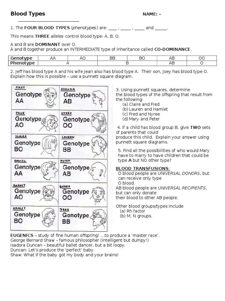 blood-type-genetics-worksheet