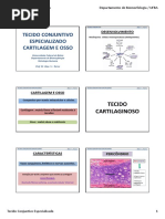 TECIDO CONJUNTIVO ESPECIALIZADO
