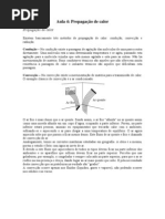 Apostila Física - Aula 04 - Progação de Calor