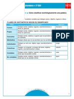 Clasificación Morfológical Cat Gram