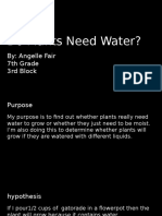 Do Plants Need Water-Angelle Fair