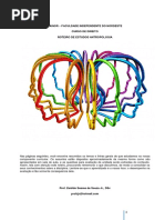 Roteiro de Estudos Antropologia 2017