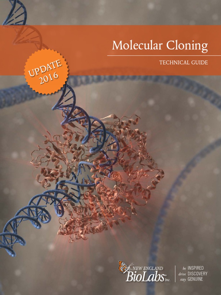 Cloning Tech Guide PDF | PDF | Molecular Cloning | Plasmid