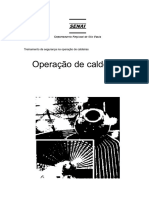 Opera--o de caldeiras.pdf