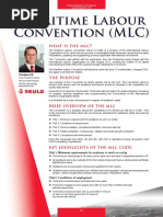 Overview of MLC 2006 for Seafarers | PDF | International Labour ...