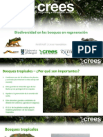 Biodiversity of Regenerating Rainforests ESP