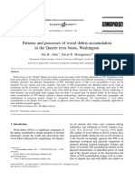 2003 Wood Debris Accumulation in Queets River Basin