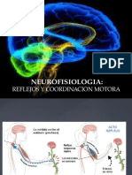 NEUROFISIOLOGIA