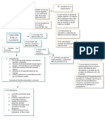 Mapa Sobre Placenta y Feto