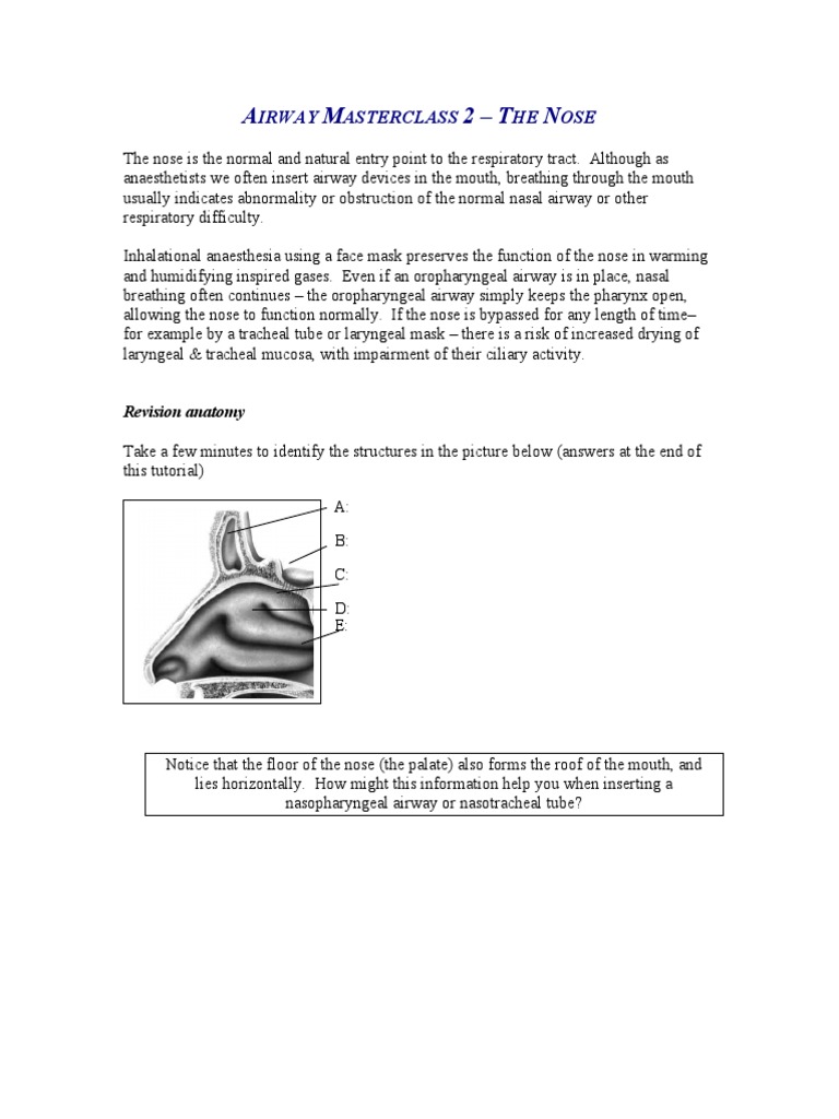 Airway Masterclass: Nasal Techniques | PDF | Respiratory Tract | Human Nose