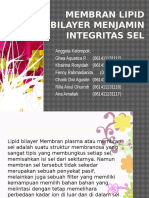 Fisiologi (Membran Lipid Bilayer)