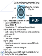 Behavior Culture Improvement Cycle