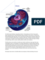 Karakteristik Dasar Sel Manusia