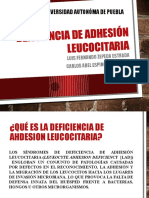 Deficiencia de adhesión leucocitaria: causas, síntomas y tratamiento